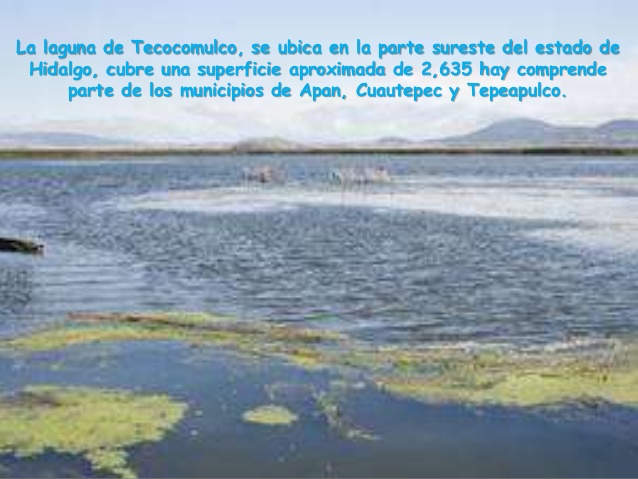 la-laguna-de-tecocomulco-2-638
