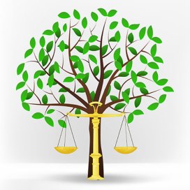 law-and-ecology-yer-sh-sq