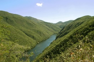 reserva_de_la_biosfera_zicuira_n-infiernillo