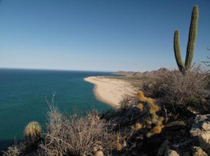 eco-palapa-is-mid-beach