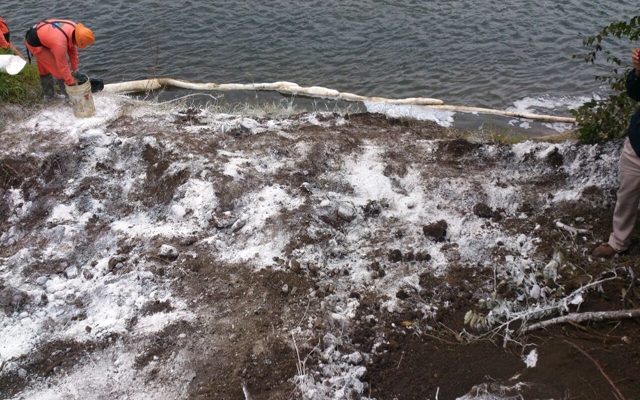 6a8574511dfb9ef2651e4a022f9ab6c5_xl