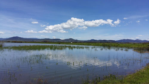 laguna-de-tecocomulco