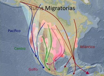 nentorno-migracion03
