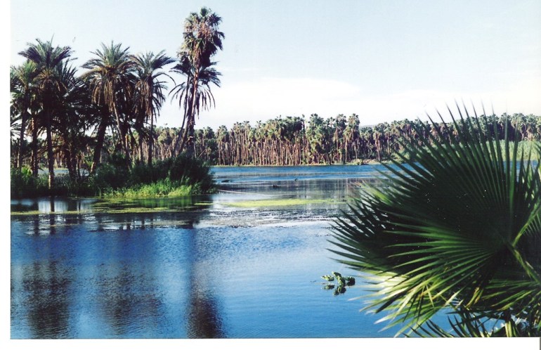 podra-el-estero-recuperar-su-esplendor