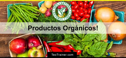 productos-orgc381nicos-e28093-quc3a9-son-los-alimentos-orgc3a1nicos